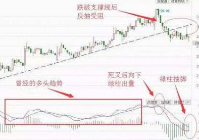 股票MACD做T的实战运用要点！关于macd多周期看盘的意义讲解！