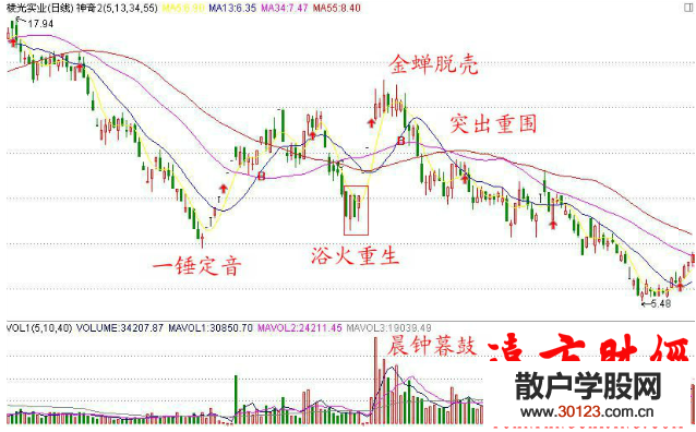 股票投资135战法：欲火重生