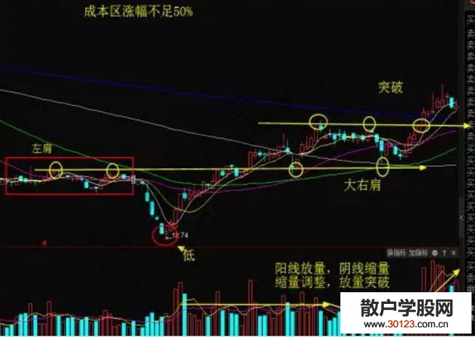 【股票入门】教你精准识别被错杀股票的方法