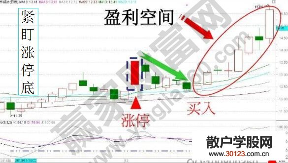 【股票基础知识】紧盯涨停底实战方法的剖析