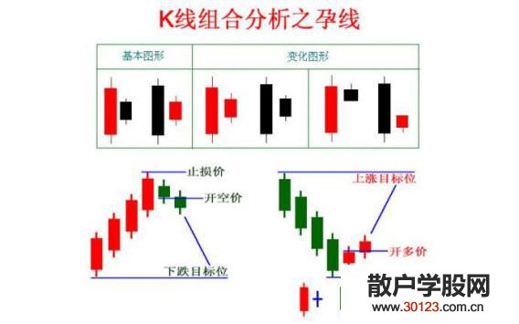 【股票基础知识】经典底部孕线k线组合图解