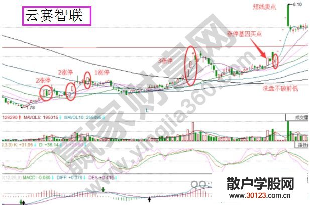 【股票入门】云赛智联中涨停板战法的应用分析