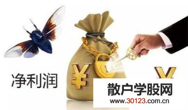 【股票投资】净利润是怎样计算的?净利润为负代表了什么情况?