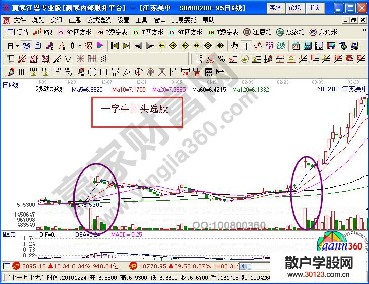 【股票投资】一字牛回头的中长线
要点讲解