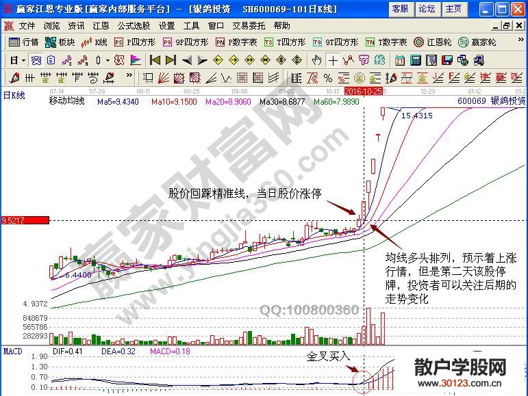 【股票基础知识】涨停板战法解读银鸽投资的买卖点（实战）