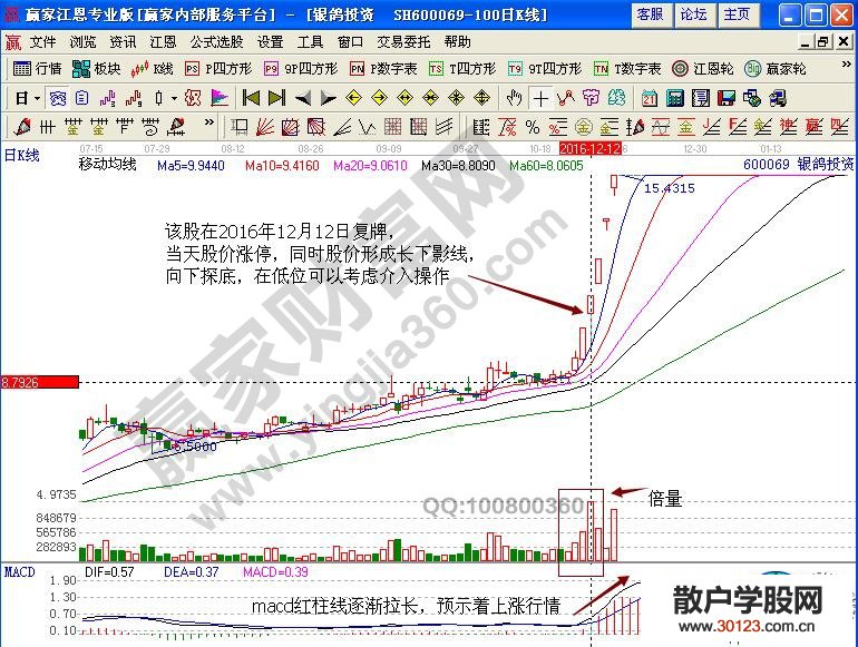 【股票基础知识】涨停板战法解读银鸽投资的买卖点（实战）