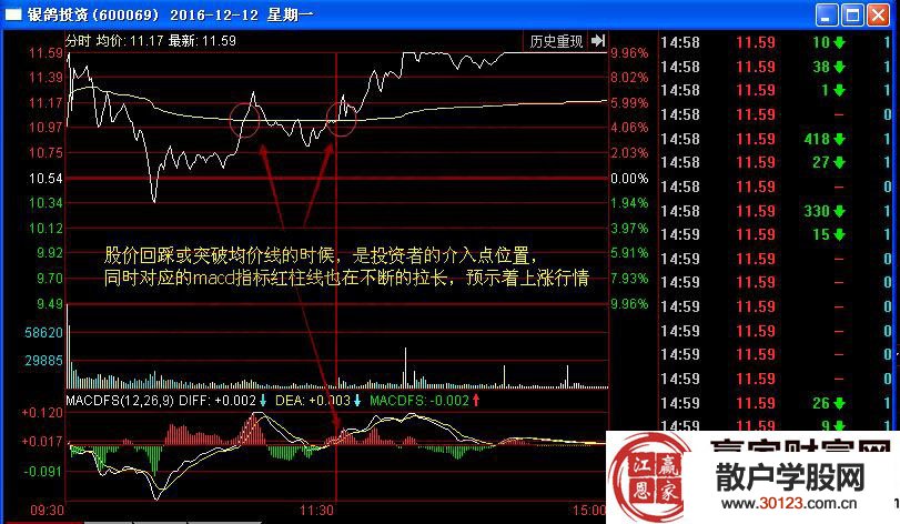 【股票基础知识】涨停板战法解读银鸽投资的买卖点（实战）