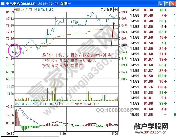 【股票入门】解读“米字形涨停板”案例【涨停板战法】