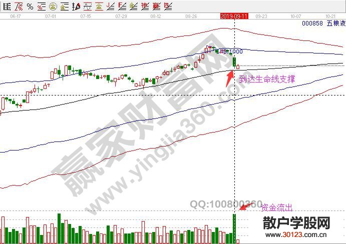 【股票入门基础知识】股票资金流出表示什么，资金流出对于股价影响分析