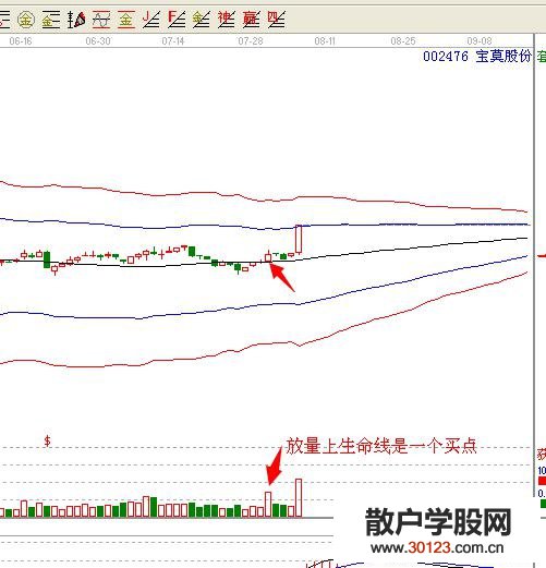 【股票入门基础知识】宝莫股份为什么会涨停