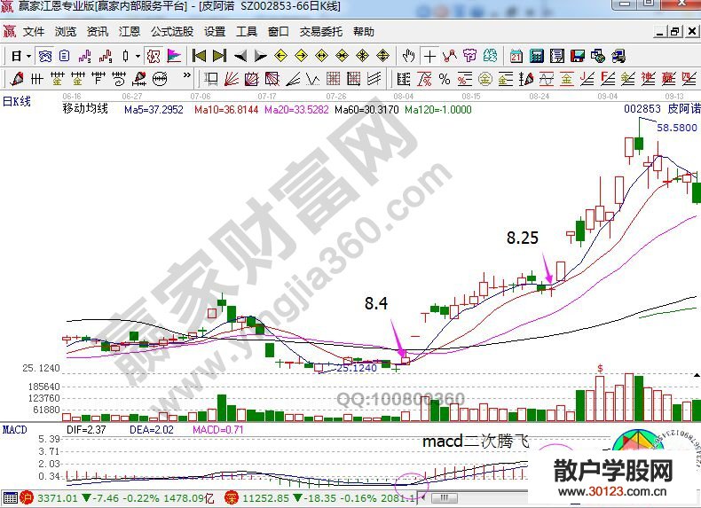 【股票入门基础知识】MACD二次腾飞捕捉皮阿诺的主升浪走势