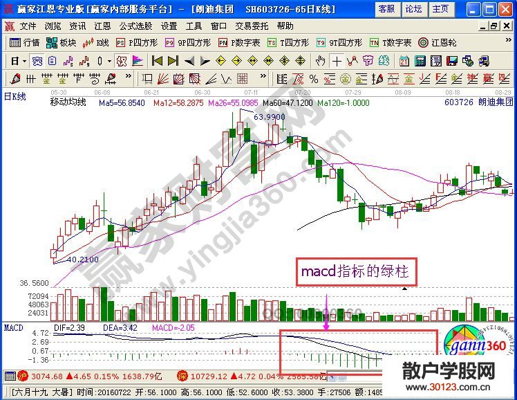 【股票入门基础知识】运用MACD指标的红柱绿柱来操盘的相关分析