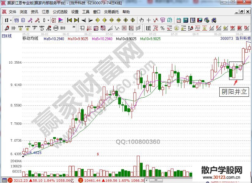 【
】阴阳并立形态的相关实战理解