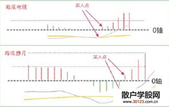 【股票入门】Macd海底捞月+macd海底电缆形态实战详解