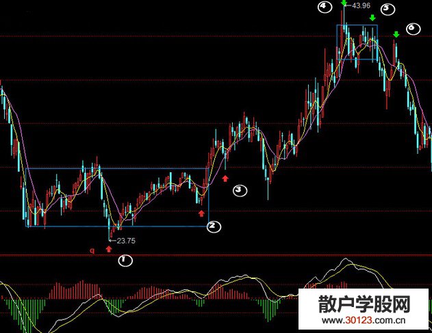 【股票入门基础知识】实战分析均量组合买股技巧