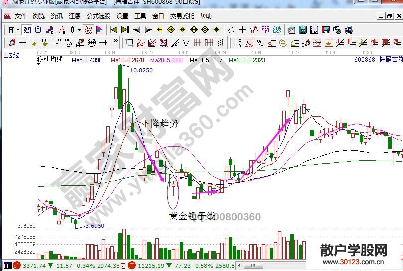 【股票投资】黄金锤子线的定义解释及实战讲解