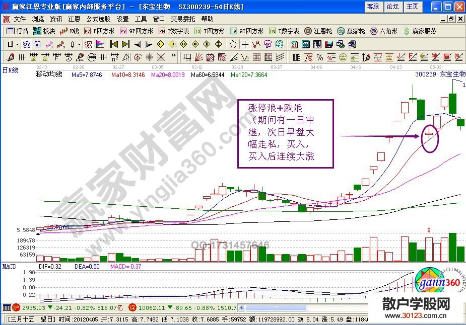 【股票入门与技巧】“涨停浪+跌停板”形态如何操作