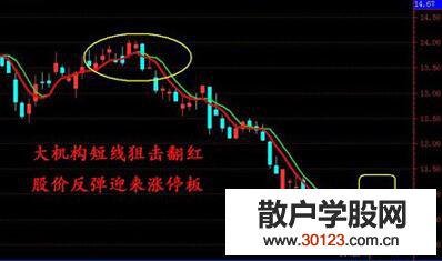 【股票知识干货】投资者在股市中的“制胜法宝”——稳健操作