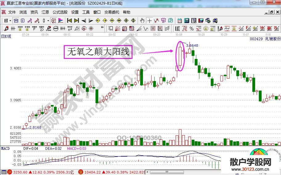 【
】无氧之颠大阳线的实战要点剖析