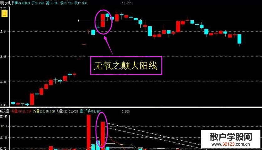 【
】无氧之颠大阳线的实战要点剖析