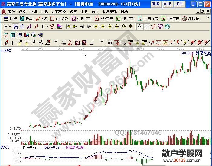 【股票入门与技巧】暴涨黑马调整后的二次冲高实战