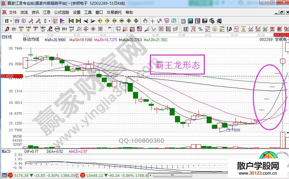 【股票入门】股票霸王龙、大龙、二龙、小龙形态的讲解