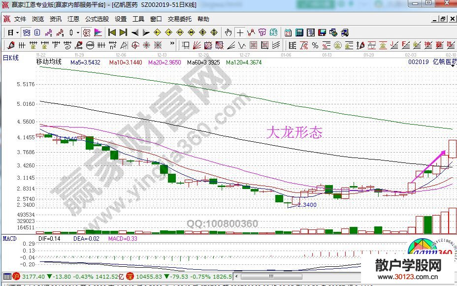 【股票入门】股票霸王龙、大龙、二龙、小龙形态的讲解