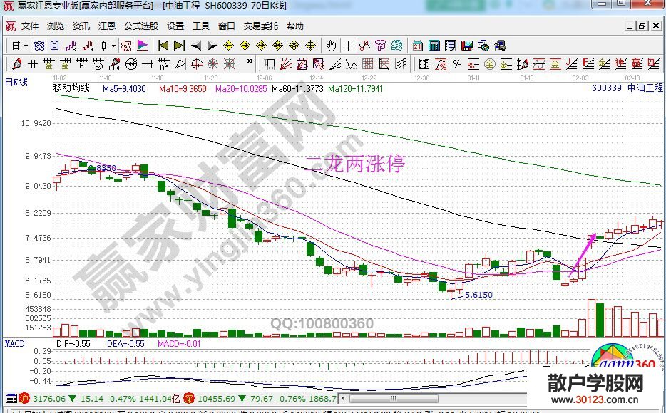 【股票入门】股票霸王龙、大龙、二龙、小龙形态的讲解