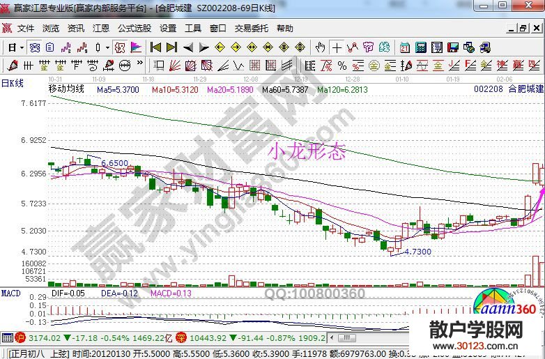 【股票入门】股票霸王龙、大龙、二龙、小龙形态的讲解