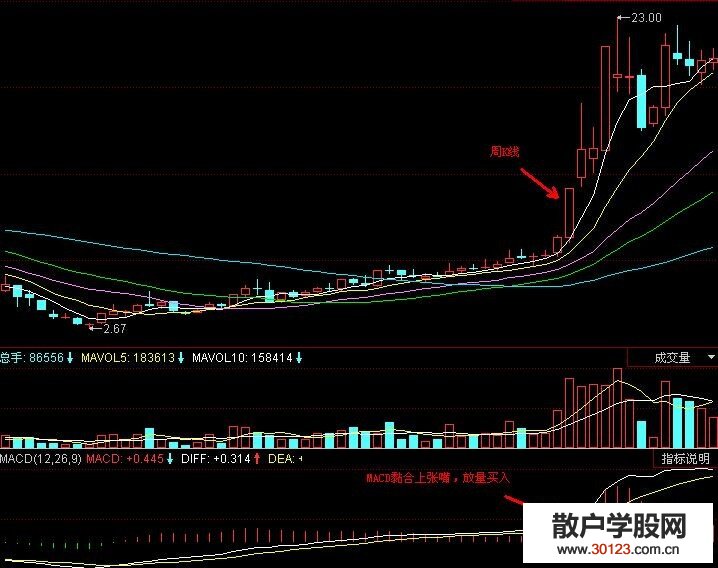 【股票入门与技巧】MACD最佳买点怎么找