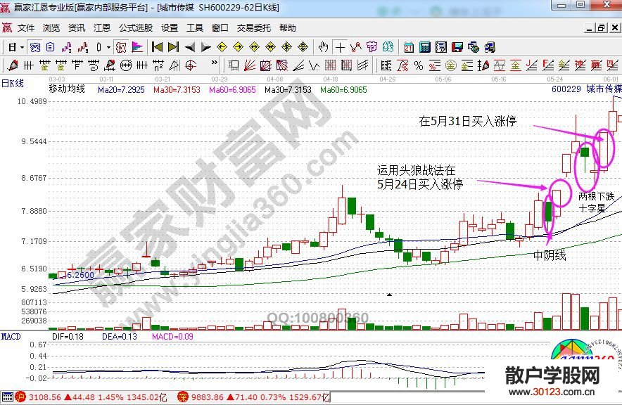 【股票知识干货】头狼战法的概述 头狼战法实战解析