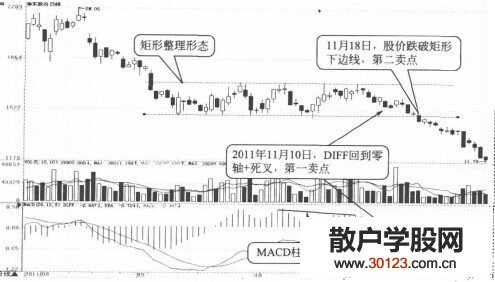 【股票入门】持续整理形态与MACD指标讲解