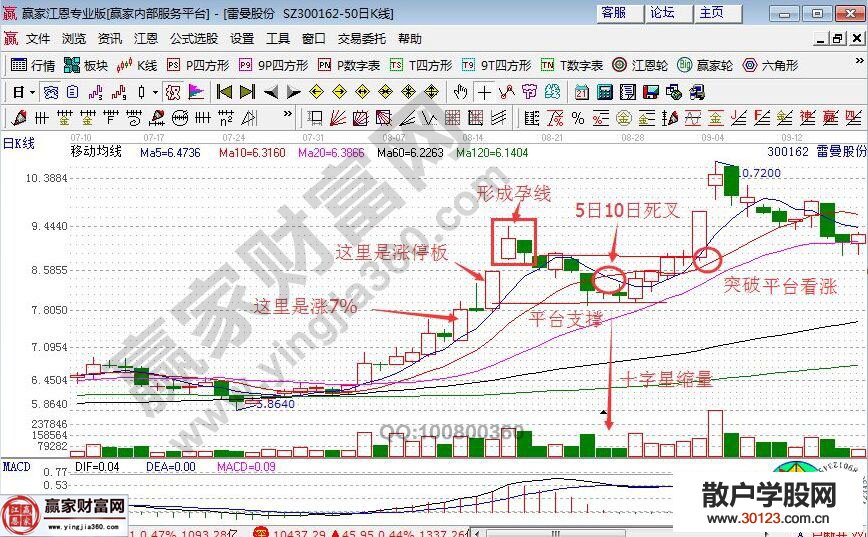 【
】雷曼股份K线图解来演示股票买入的逻辑