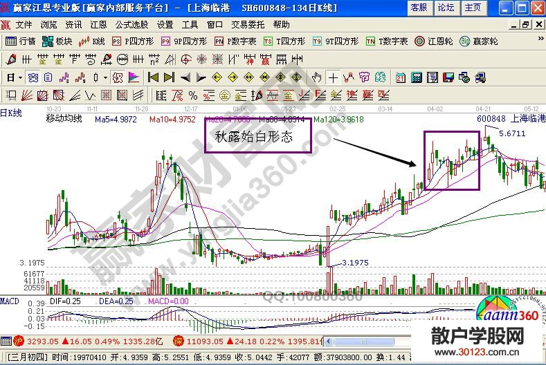 【股票入门基础知识】上海临港走势中秋露始白形态的实战