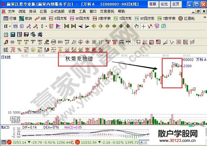 【股票知识干货】股票秋菊竞艳谱实战案例——万科A