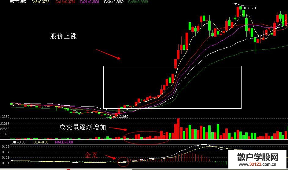 【股票入门基础知识】解密MACD金叉