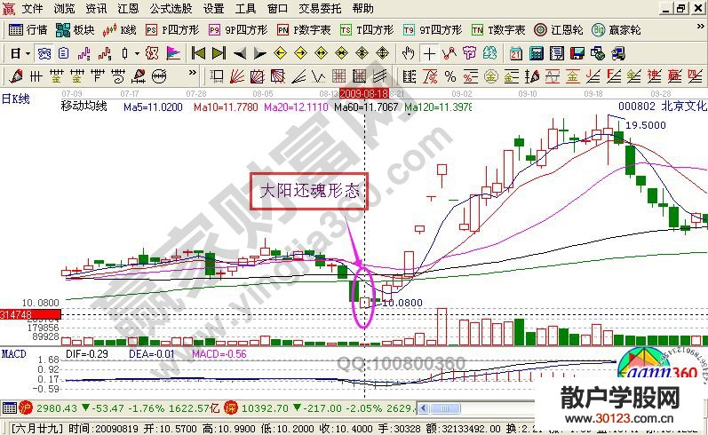 【股票入门基础知识】K线图解之大阳还魂的技术要点