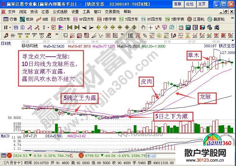 【股票知识干货】“寻龙点穴”的K线图解析