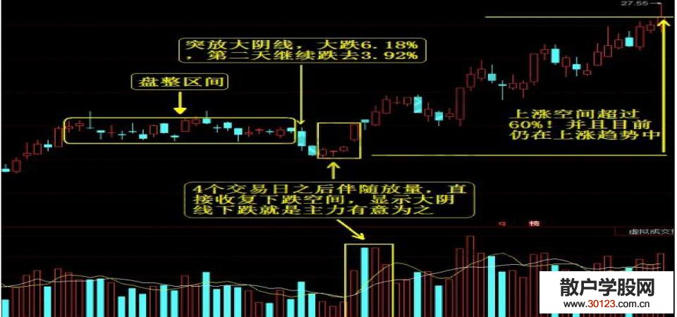 【股票入门与技巧】股票技术分析从入门到精髓