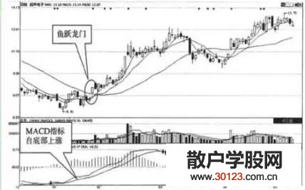 【
】K线形态”鱼跃龙门“抓大牛股！