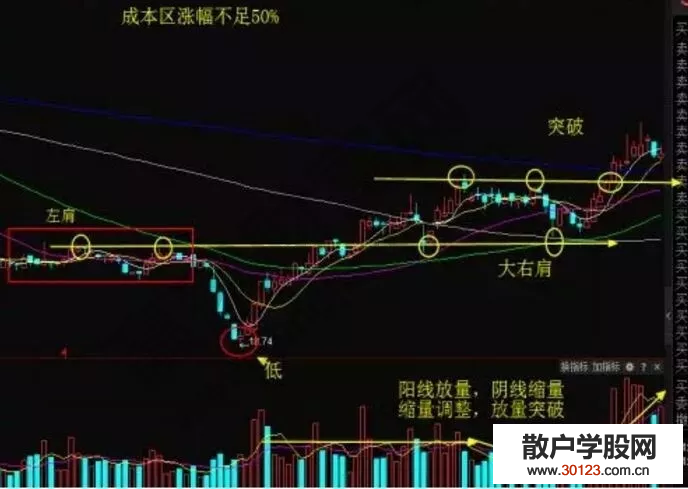 【
】炒股入门：怎么识别被错杀的牛股