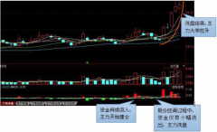 [股票知识]主力建仓时的五大特征