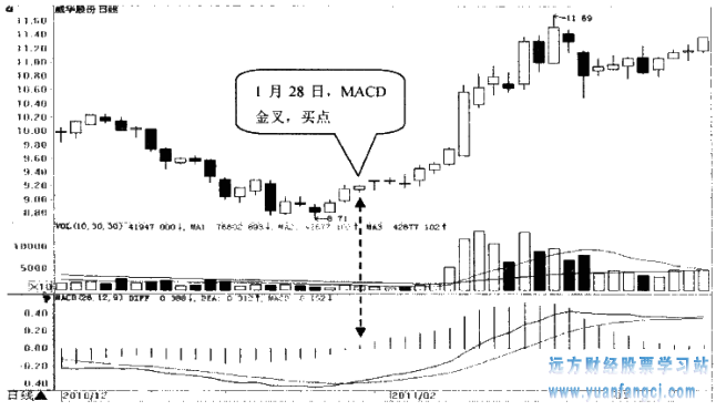 [股票入门基础知识]
51：选择MACD指标二次金叉的股票