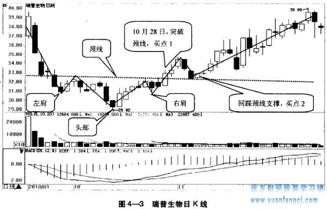 [[炒股入门]
38：头肩底